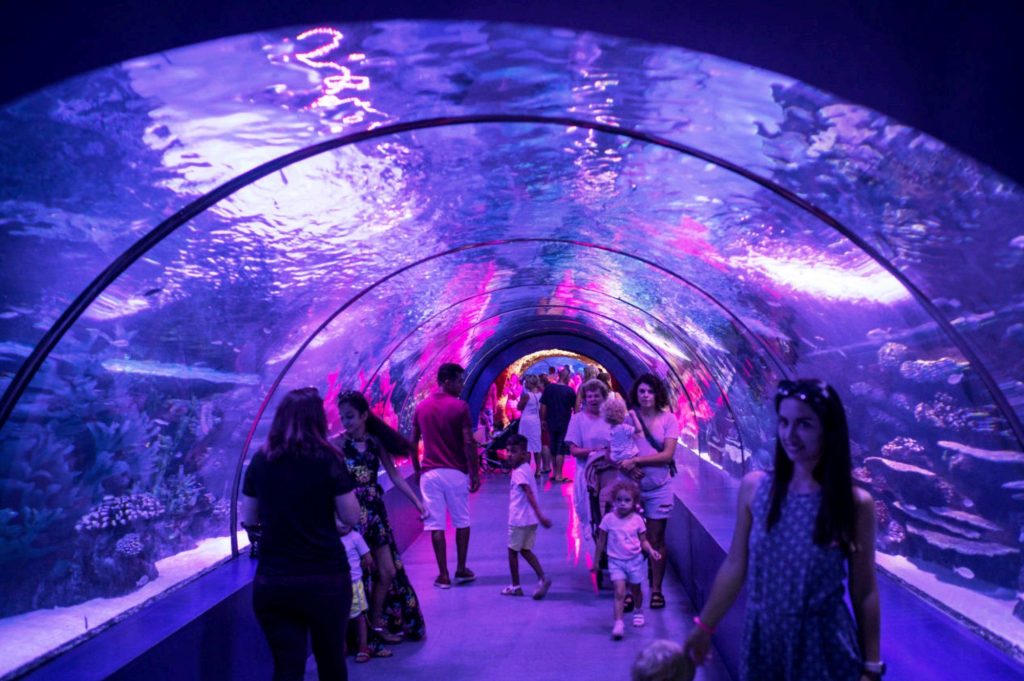 Aquarium in Fort Lauderdale