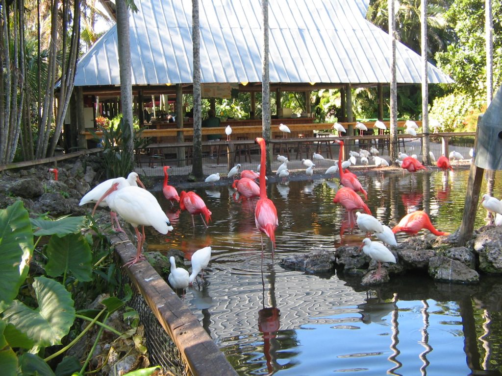 flamingo gardens in fort lauderdale