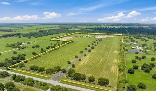 Oak trees throughout