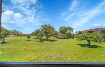 What a great view!