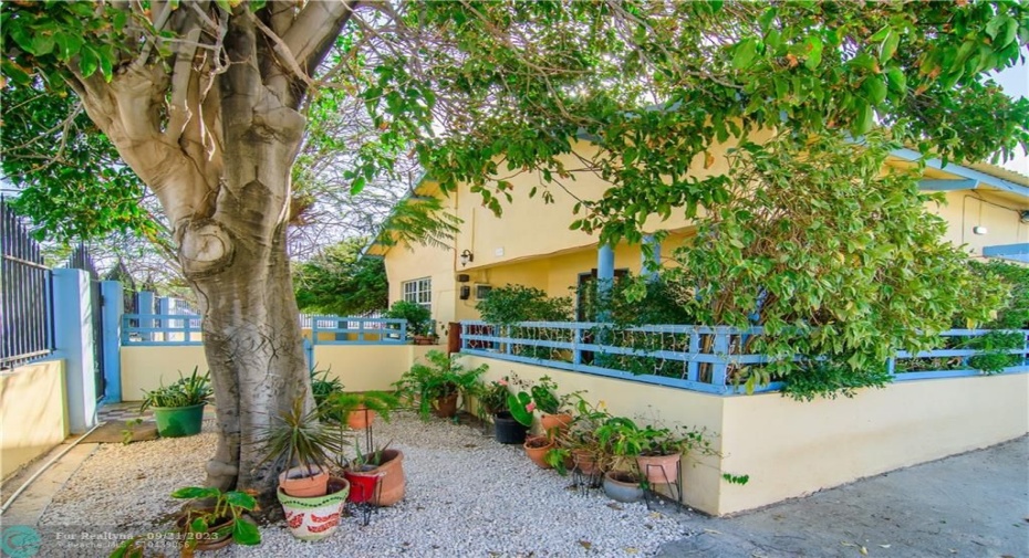 Charming home with ample yard and very close to Oranjestad