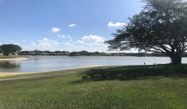 View just outside patio