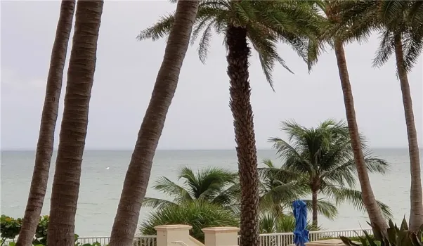 Tropical Ocean View