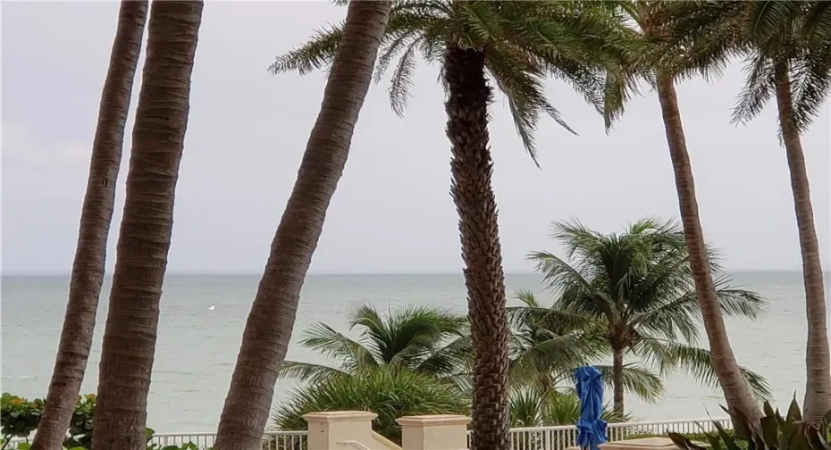 Tropical Ocean View