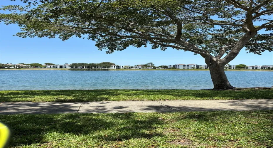 View from the unit