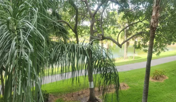 water greenery peace and serentiy