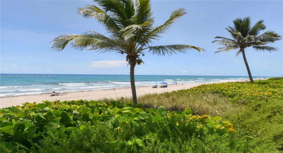 Ocean View