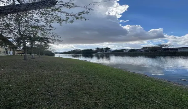 Neighborhood Lake View