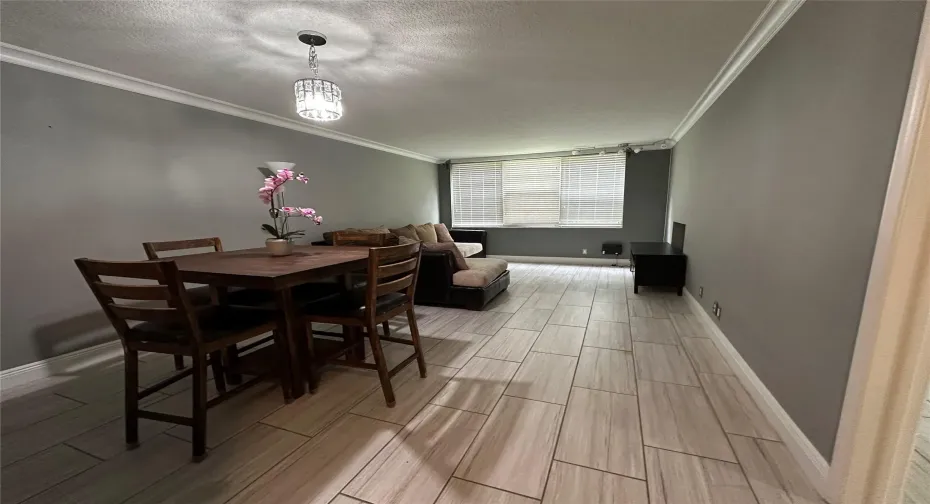 dining living room combo