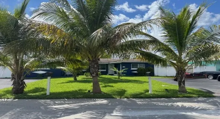 Tropical landscaping