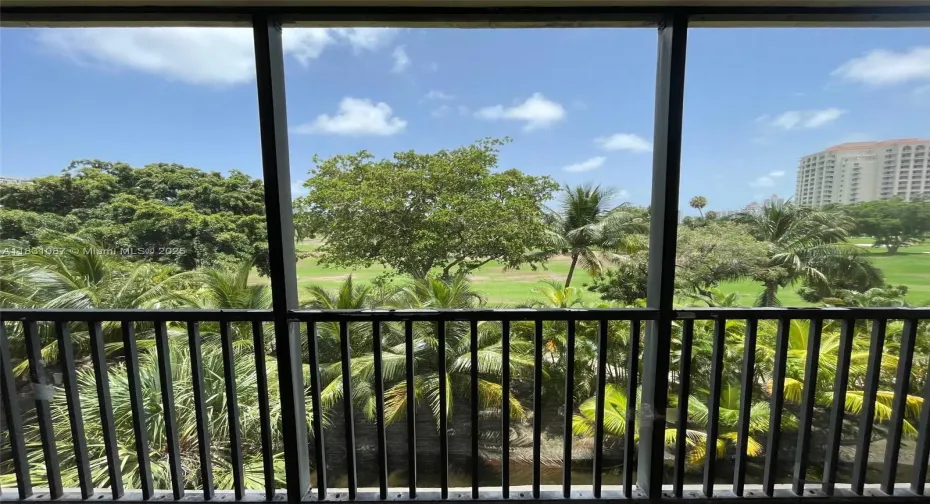 View from Balcony