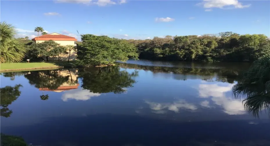 Incredible water view