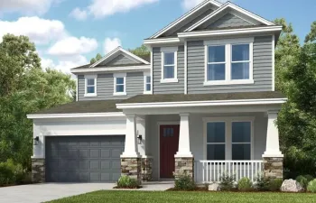 The Bermuda ~ Rendering