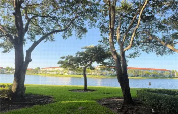 Lake view