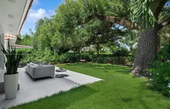 back yard