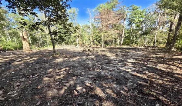 Cleared Acres