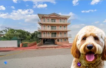 Pet Friendly Building