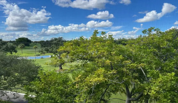 View from balcony