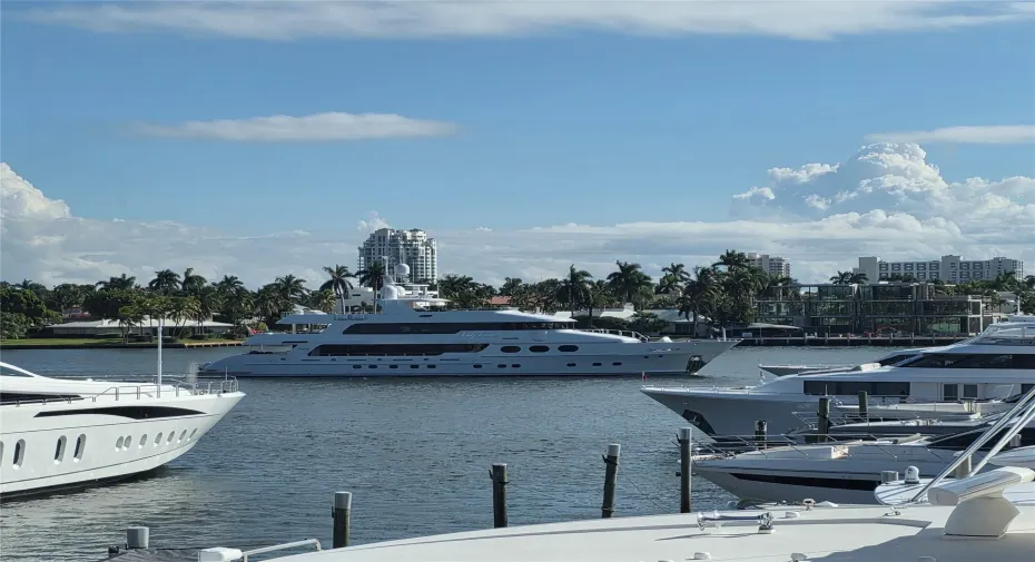 View from the living room window.