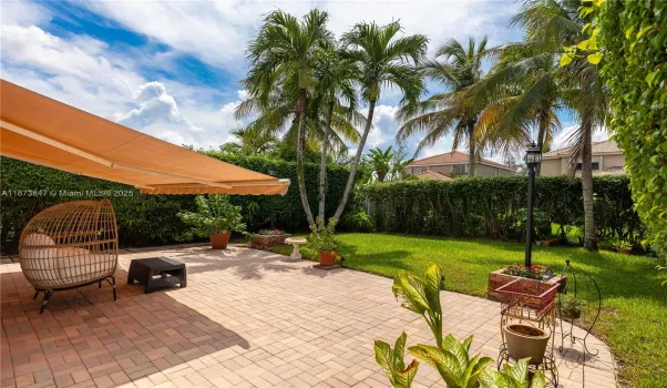 Back Yard