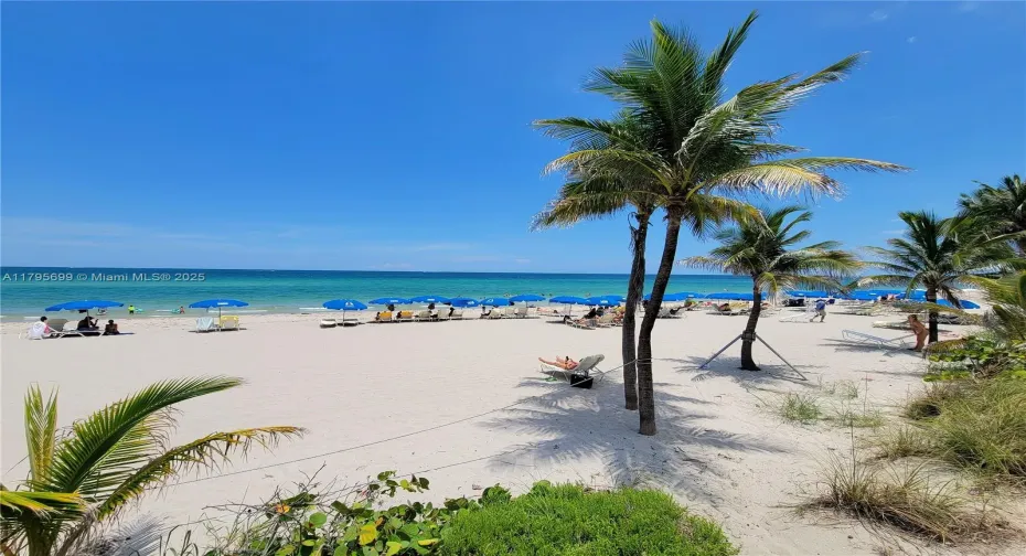 OCEANFRONT