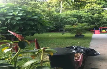 Residential Lease For Rent