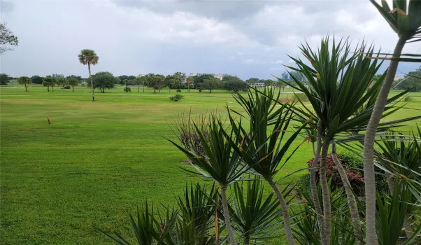 Golf View