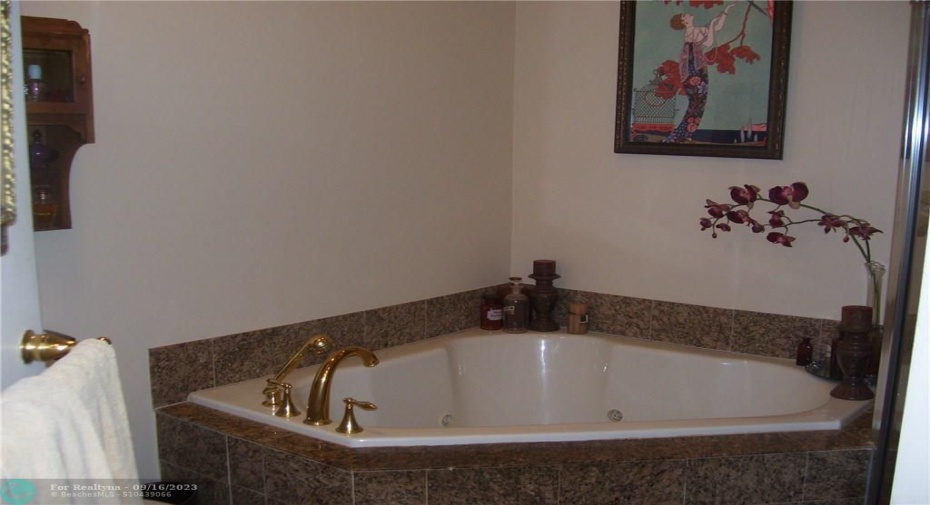 Master bath jacuzzi tub