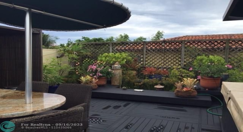 Roof top garden with filtered pond