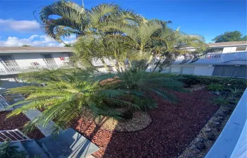 View from Front Door...