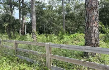 Fenced 5 acres
