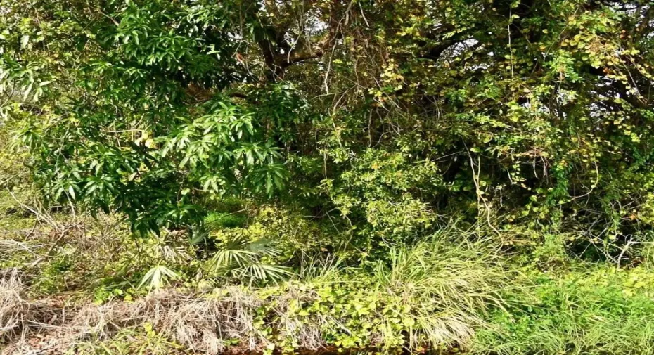 N. 37th St. Sunland Gardens, Fort Pierce