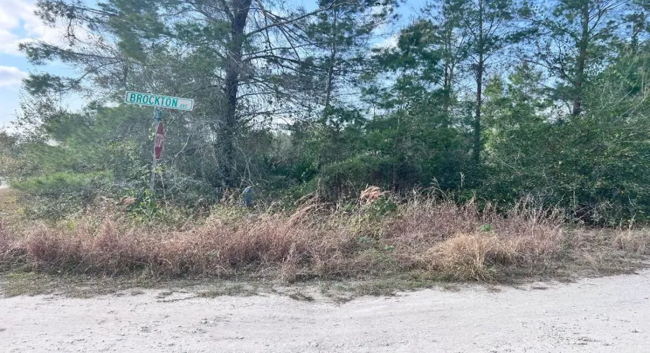 4847 Brockton Ave, Front