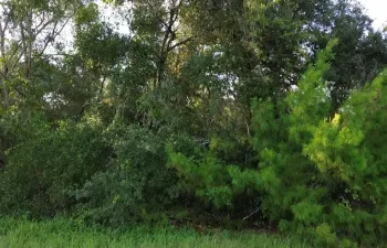 Screenshot 2025-09-18 182031