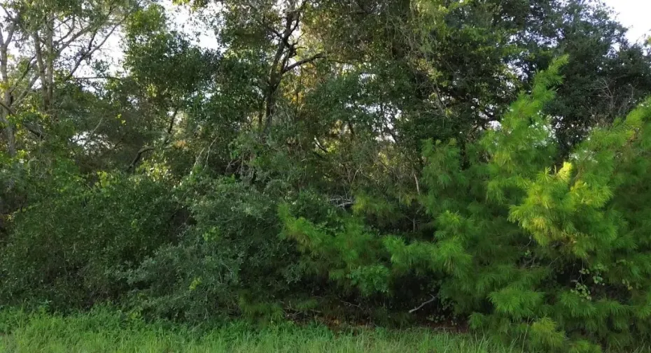 Screenshot 2025-09-18 182031