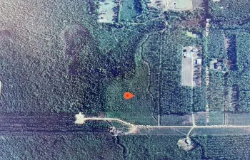 DJI_0886
