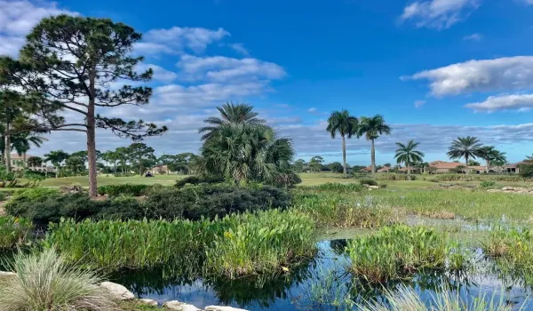 View of Water Feature and 5th Green