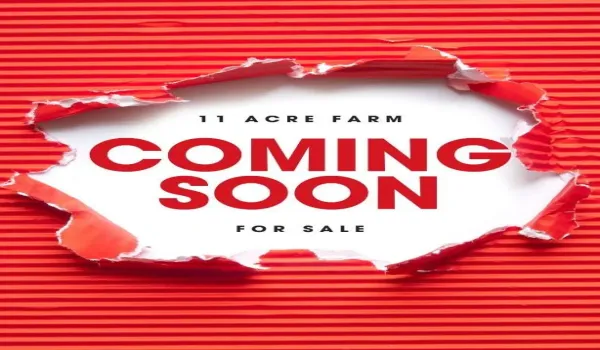 11 Acre Farm-2