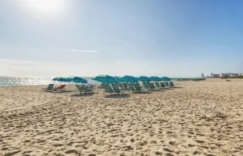 Beach Chair Service -2