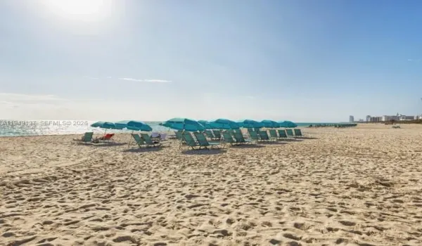 Beach Chair Service -2