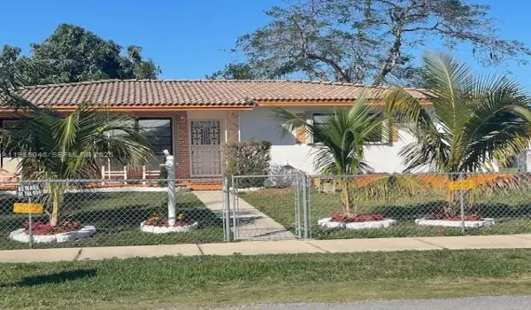 Beautiful Palm trees. Landscaping.