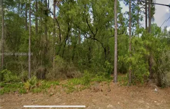 Front of Lot