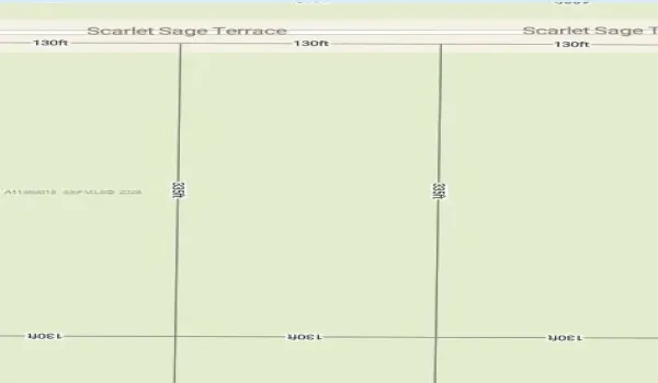 1977 Scarlet Sage Ter