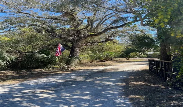 ENTRANCE AND FRONT DRIVEWAY