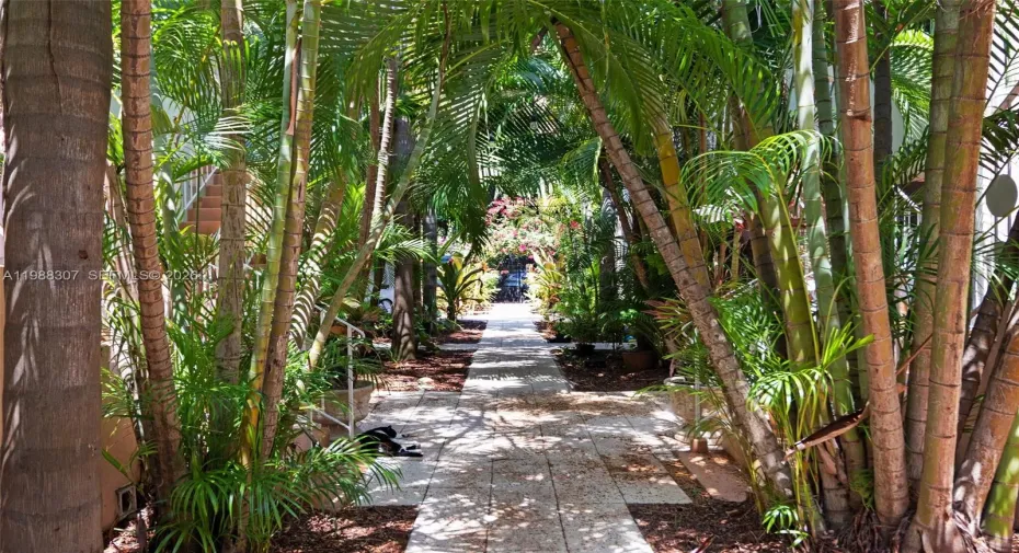 Beautiful, lush garden in walkway of gated community.