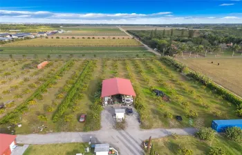 MAMAY GROVE K AND M ON 5 ACRES POLE BARN W 220