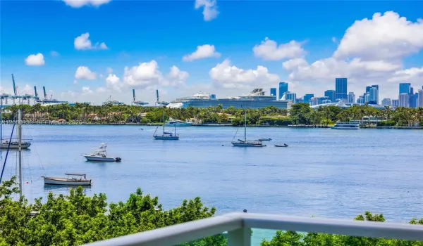 these images are property of SFLI