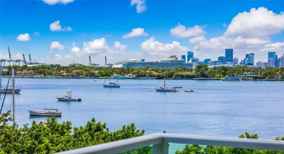 these images are property of SFLI