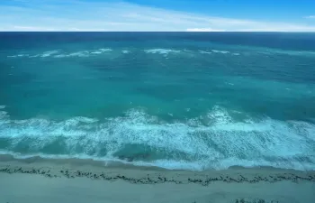 Atlantic Ocean