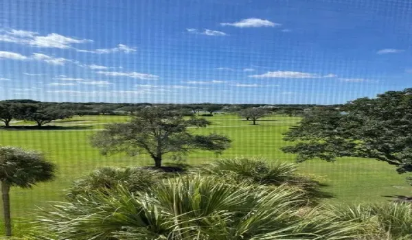 VIEW FROM BALONY